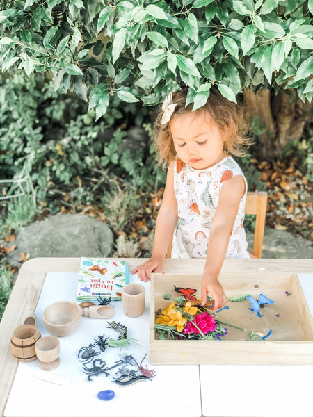 Montessori Wooden Tray