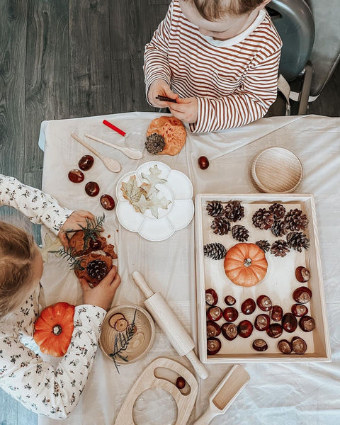 Montessori Wooden Tray