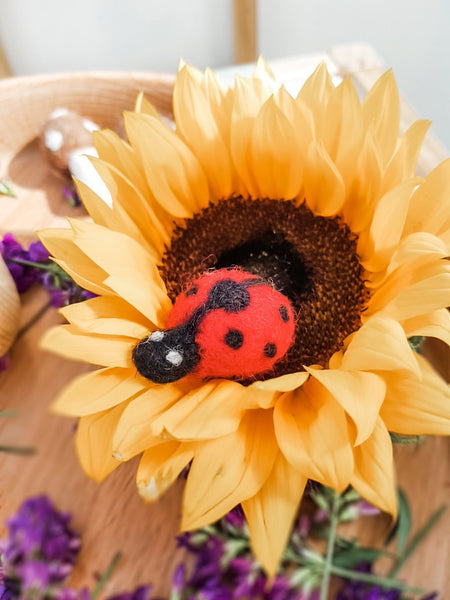 Felt Ladybird