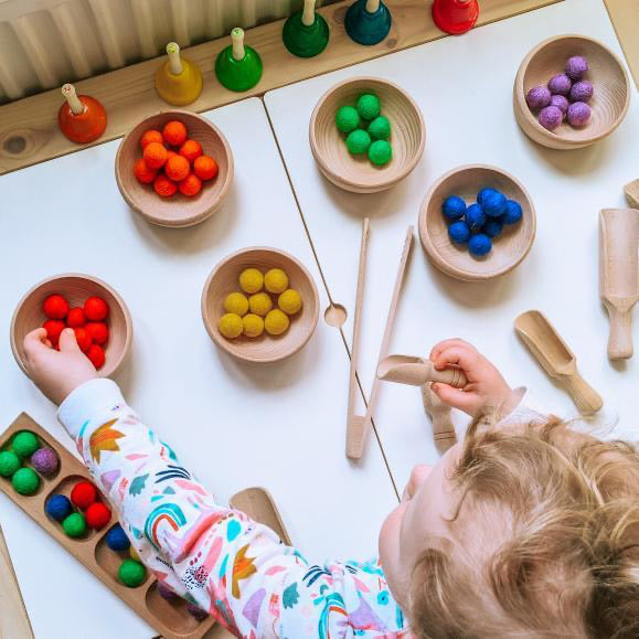 Primary Colours Montessori Sorting Set